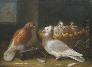 Ein Taubenpaar Mit Ihrem Nachwuchs, Dem In Einem Weidenkorb Ein Nest Bereitet Wurde by Johann Friedrich Loeber