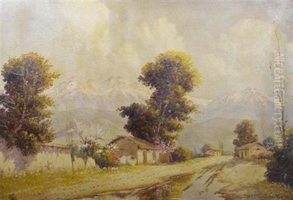 Mountain Scene - view 1