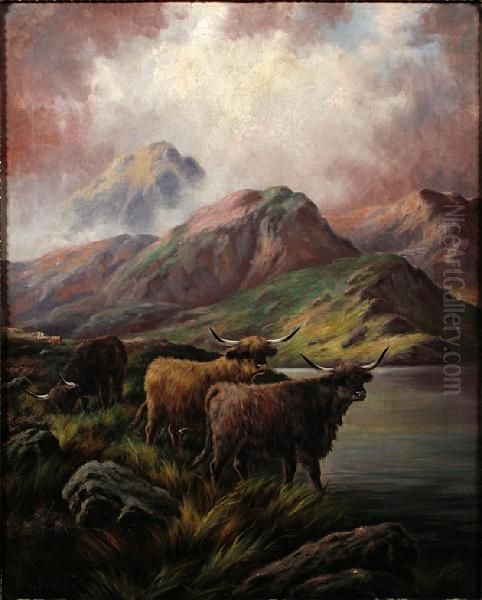 Highland Cattle In A Mountainous Landscape - view 1