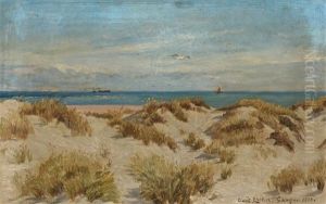 Coastal Scene From Skagen With Ships In The Background Coastal Scene From Skagen With Ships In The Background