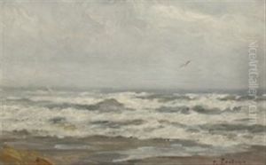Coastal Scenery With Breaking Waves And A Flying Seagull