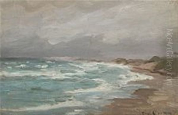 Scenery From Skagen Beach - view 1