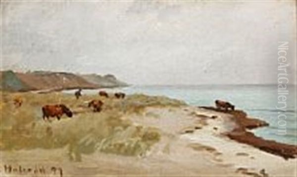 Beach Scene With Cows, Hulerod, Denmark - view 1
