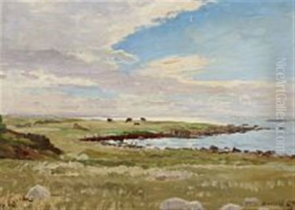 Cows On The Fields Of Hesselo - view 1