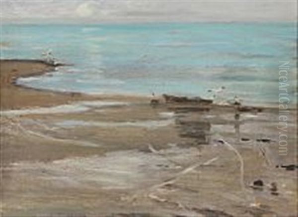 Beach Scene With Seagulls - view 1