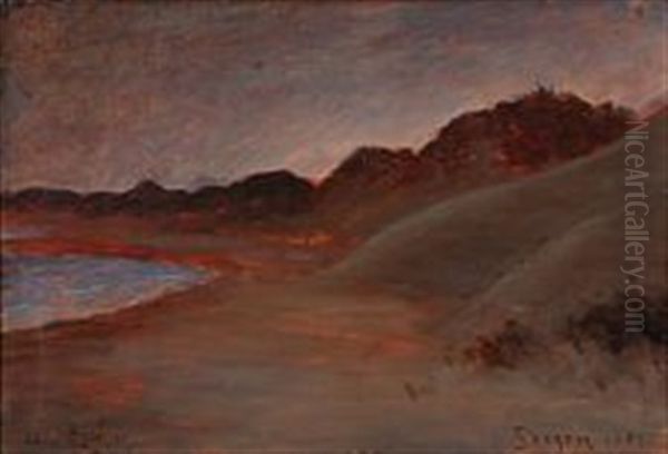 Evening Atmosphere At Skagen Beach - view 1