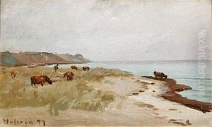 Beach Scene With Cows, Hulerod In Denmark Beach Scene With Cows, Hulerod In Denmark