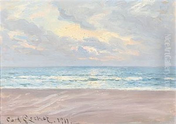 Vintermorgen. Skagens Sonderstrand - view 1