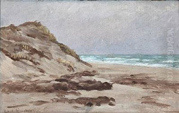 Klitter Paa Sonderstrand Paa Skagen - view 1
