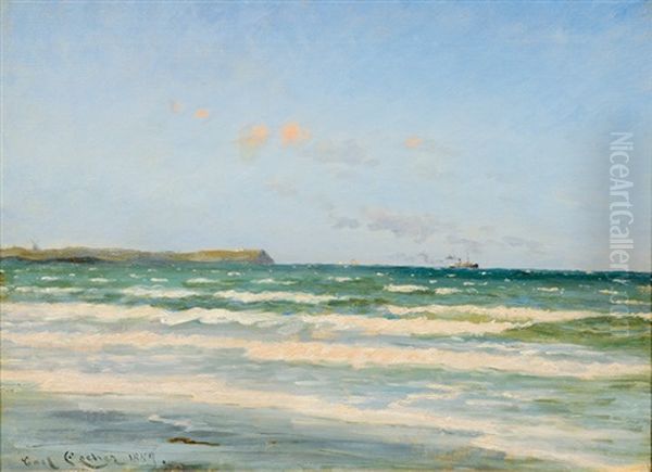 Coastal Landscape Near Skagen - view 1