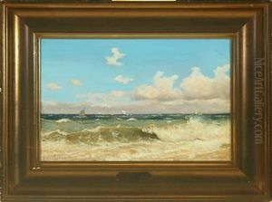 Sailing Ships Along The Coast Of Skagen