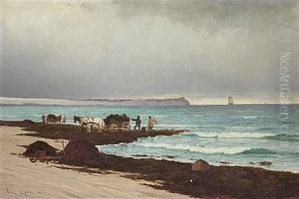 Tangsamlere Ved Hornbaek Strand - view 1