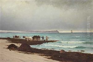 Tangsamlere Ved Hornbaek Strand