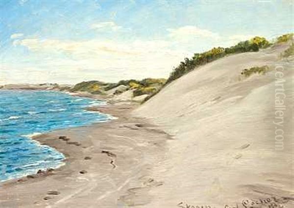 Klitter Ved Havet - view 1