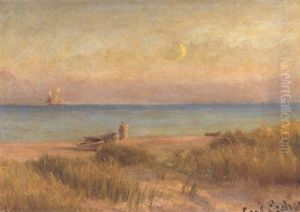 Ved Solnedgang, Skagen Strand