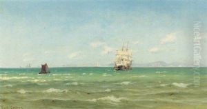 Udsigt Mod Kullen En Sommerdag Udsigt Mod Kullen En Sommerdag
