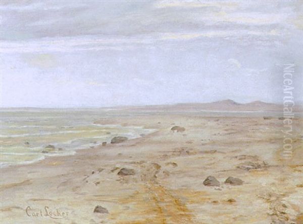 Kystparti - view 1