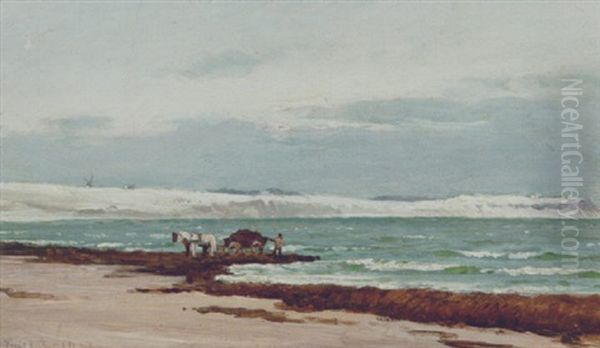 Fisker Samler Tang Ved Hornbaek Strand - view 1