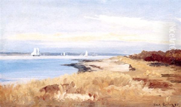 Sejlskibe Pa Sundet - view 1