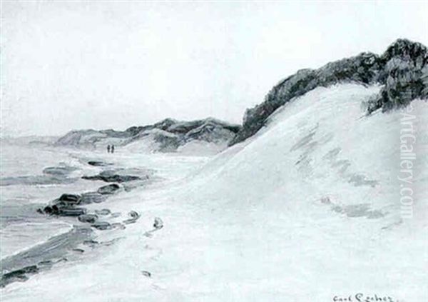 Kystparti - view 1