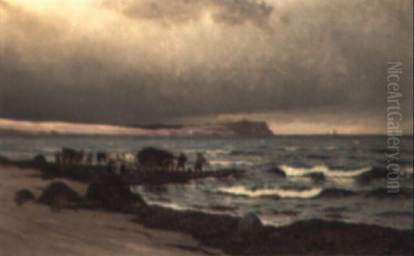 Tangk+rsel Pa Hornbaek Strand - view 1