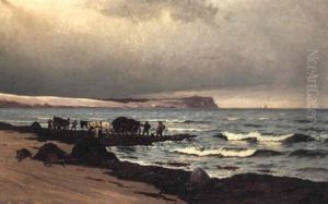 Tangk+rsel Pa Hornbaek Strand