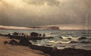 Tangkarsel Pa Hornbaek Strand