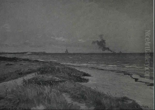 Parti Fra Den Nordsjaellandske Kyst - view 1
