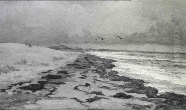 Udsigt Over Skagens Gren - view 1