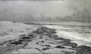 Udsigt Over Skagens Gren