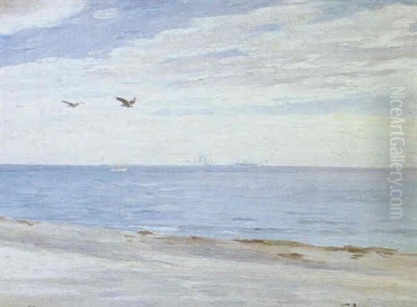 Kystparti Fra Skagens Strand - view 1