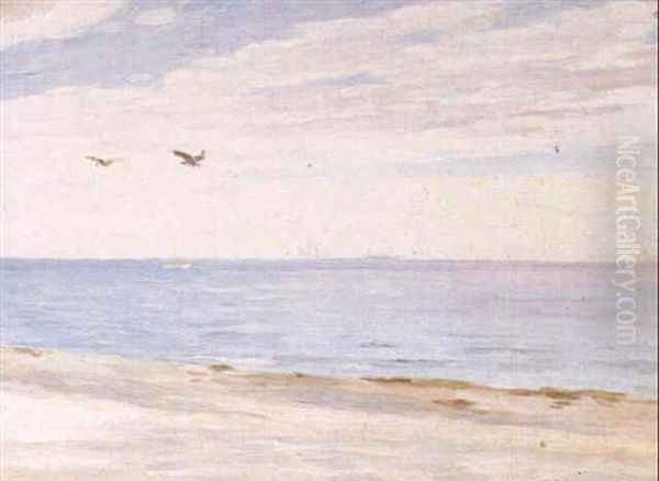 Kystparti Fra Skagens Strand - view 1