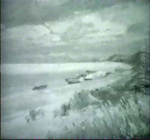 Parti Fra Skagen Sonderstrand - view 1
