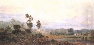 Australian Landscape