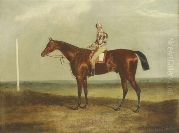 A Racehorse With Jockey Up - view 1