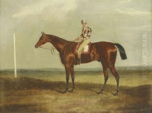 A Racehorse With Jockey Up