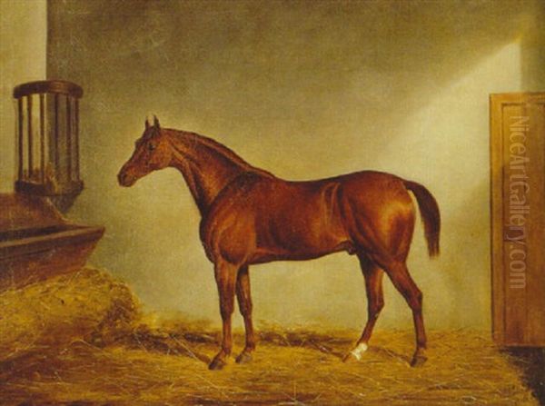 A Chestnut Hunter In A Loosebox - view 1