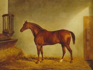 A Chestnut Hunter In A Loosebox