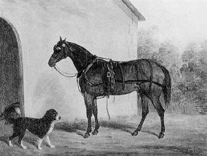A Carriage Horse And Spaniel Before Stables by James Loder Of Bath