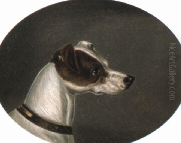 A Terrier - view 1