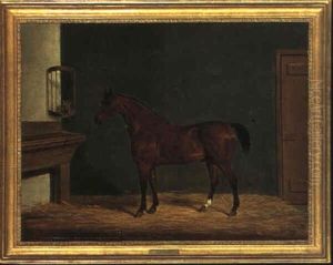 The Rev. D. Locke's Hunter In A Stable