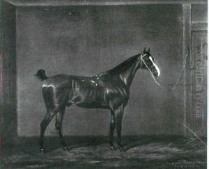 'mat O' The Mint', A Chestnut Racehorse In A Loose Box