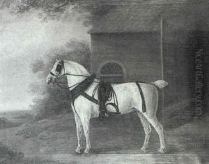 Portrait Of A Grey Coach Horse, Before A Stable, A          Landscape Beyond