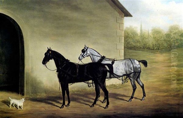 Two Carriage Horses Outside A Stable - view 1