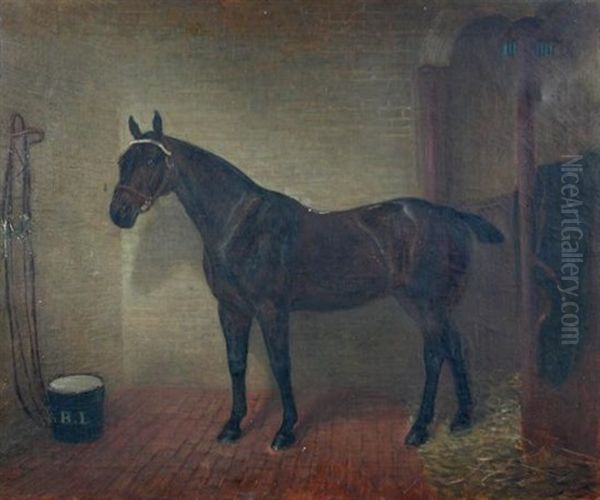 A Dark Bay Hunter In A Stable - view 1