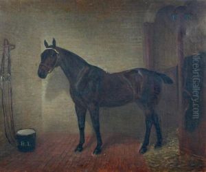 A Dark Bay Hunter In A Stable