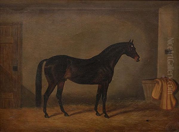 Portrait Of A Bay, In A Stable Interior - view 1