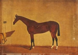 A Bay Horse In A Stable A Bay Horse In A Stable