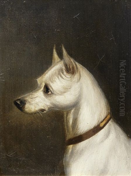 Terriers And A Hound (6 Works) - view 1