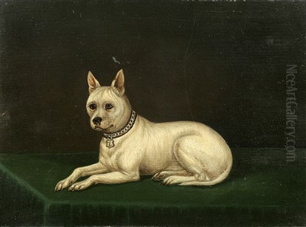 Cribb, A White Terrier - view 1